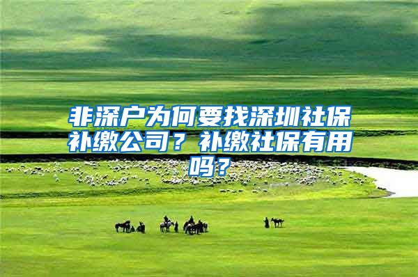 非深户为何要找深圳社保补缴公司？补缴社保有用吗？