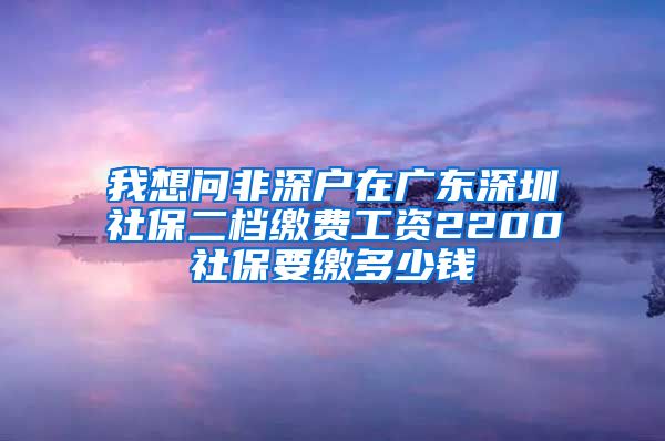 我想问非深户在广东深圳社保二档缴费工资2200社保要缴多少钱