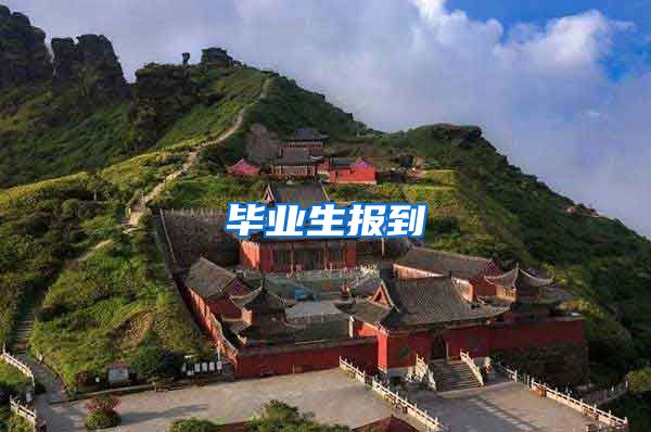 毕业生报到