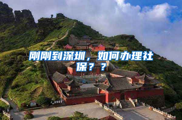 刚刚到深圳，如何办理社保？？