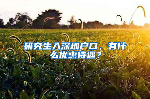 研究生入深圳户口，有什么优惠待遇？
