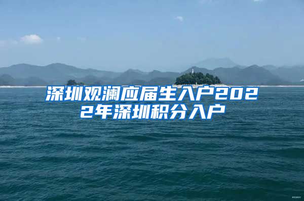 深圳观澜应届生入户2022年深圳积分入户