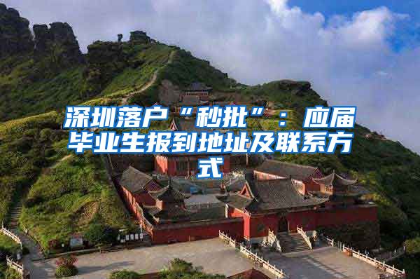 深圳落户“秒批”：应届毕业生报到地址及联系方式