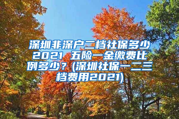 深圳非深户二档社保多少2021 五险一金缴费比例多少？(深圳社保一二三档费用2021)