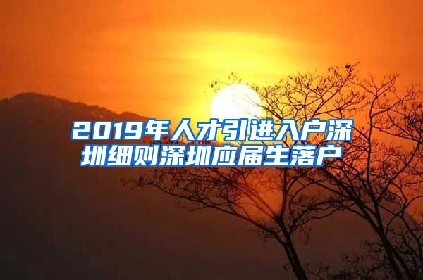 2019年人才引进入户深圳细则深圳应届生落户