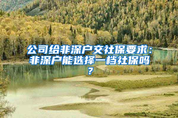 公司给非深户交社保要求：非深户能选择一档社保吗？