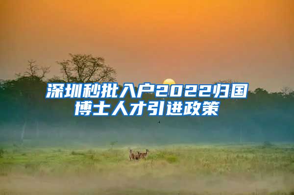 深圳秒批入户2022归国博士人才引进政策