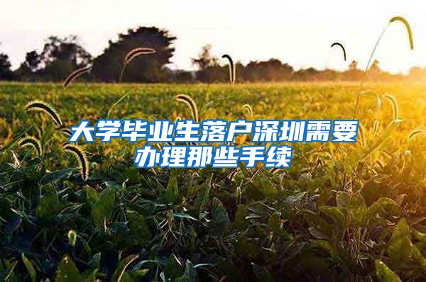 大学毕业生落户深圳需要办理那些手续