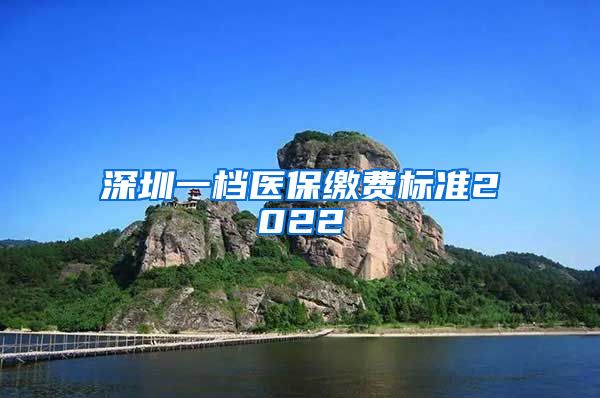 深圳一档医保缴费标准2022