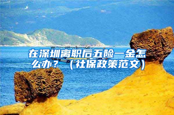 在深圳离职后五险一金怎么办？（社保政策范文）