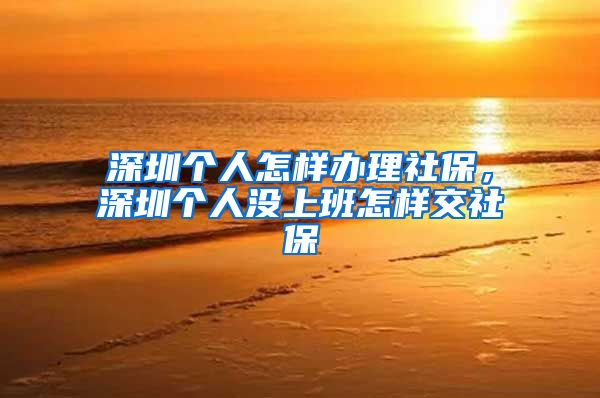 深圳个人怎样办理社保，深圳个人没上班怎样交社保