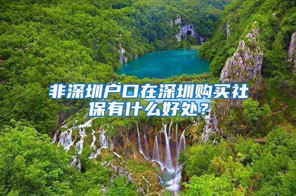 非深圳户口在深圳购买社保有什么好处？