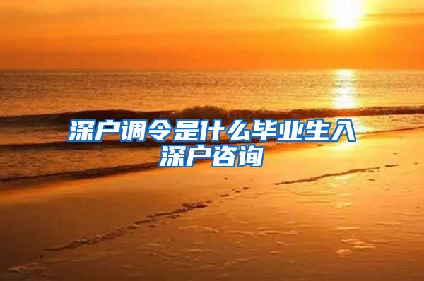 深户调令是什么毕业生入深户咨询