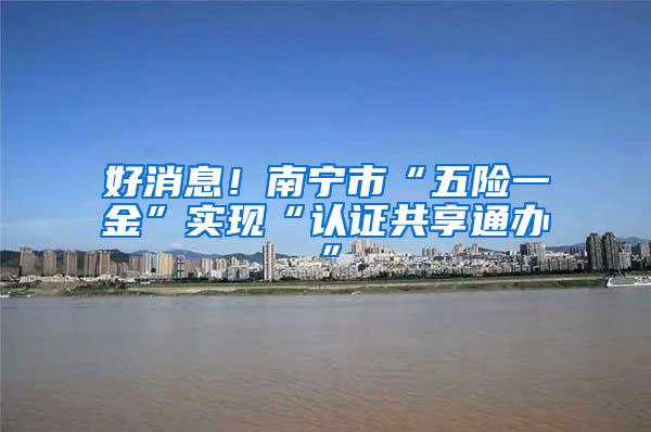 好消息！南宁市“五险一金”实现“认证共享通办”