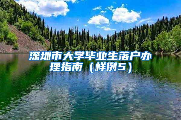 深圳市大学毕业生落户办理指南（样例5）