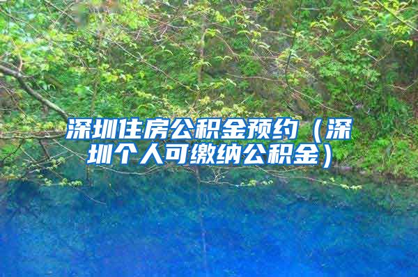 深圳住房公积金预约（深圳个人可缴纳公积金）