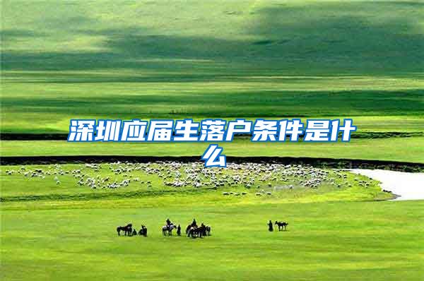 深圳应届生落户条件是什么