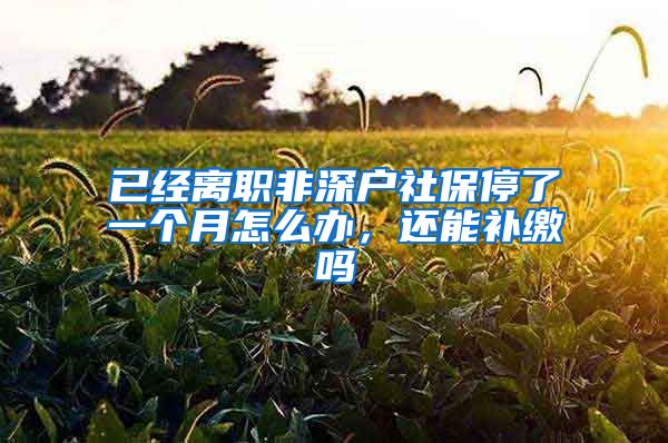 已经离职非深户社保停了一个月怎么办，还能补缴吗