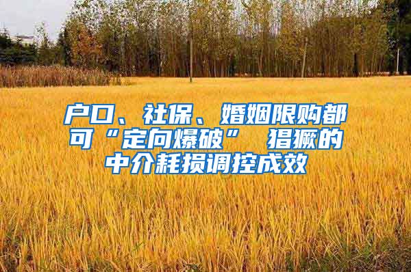 户口、社保、婚姻限购都可“定向爆破” 猖獗的中介耗损调控成效
