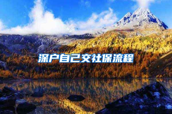 深户自己交社保流程