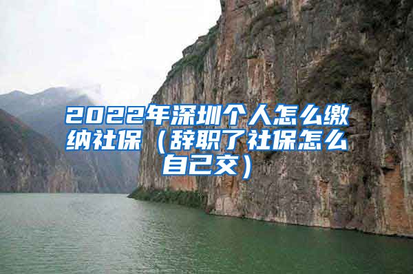 2022年深圳个人怎么缴纳社保（辞职了社保怎么自己交）