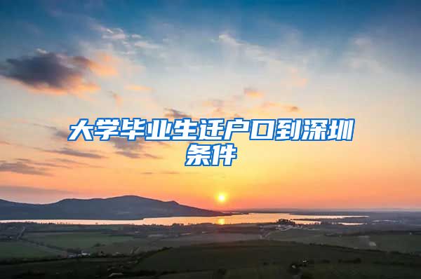 大学毕业生迁户口到深圳条件