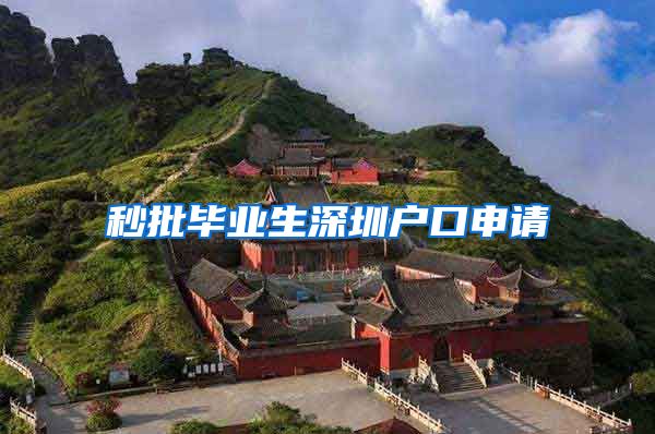 秒批毕业生深圳户口申请