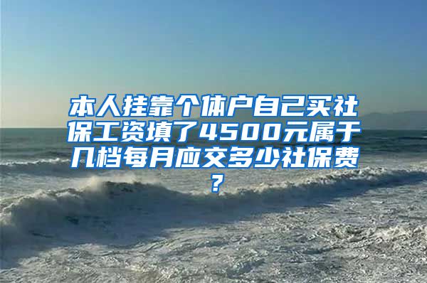 本人挂靠个体户自己买社保工资填了4500元属于几档每月应交多少社保费？