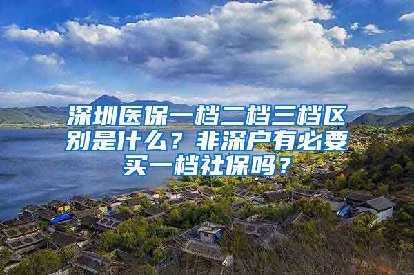 深圳医保一档二档三档区别是什么？非深户有必要买一档社保吗？