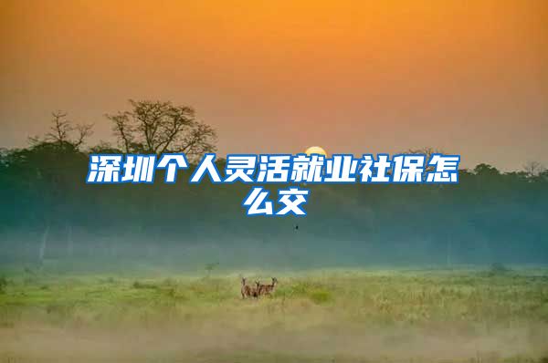 深圳个人灵活就业社保怎么交