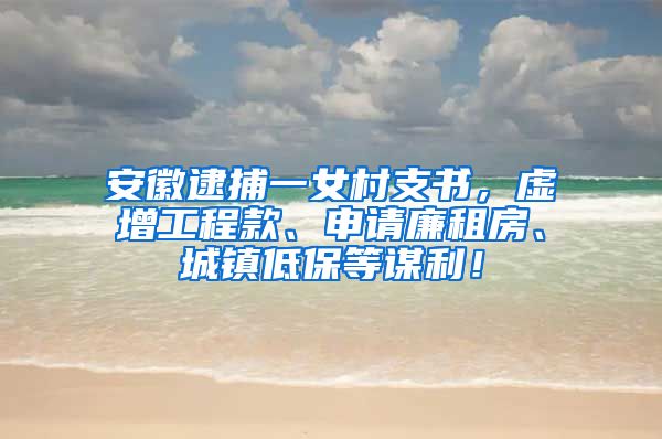 安徽逮捕一女村支书，虚增工程款、申请廉租房、城镇低保等谋利！