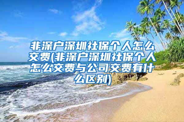 非深户深圳社保个人怎么交费(非深户深圳社保个人怎么交费与公司交费有什么区别)