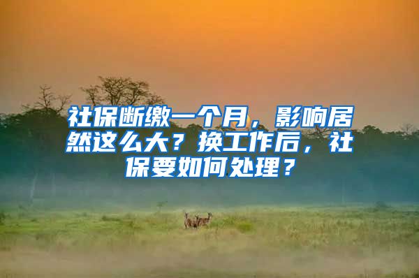 社保断缴一个月，影响居然这么大？换工作后，社保要如何处理？
