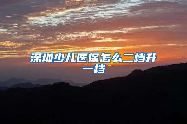 深圳少儿医保怎么二档升一档