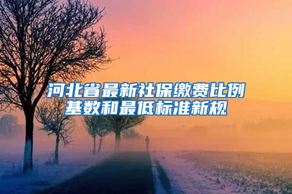 河北省最新社保缴费比例基数和最低标准新规