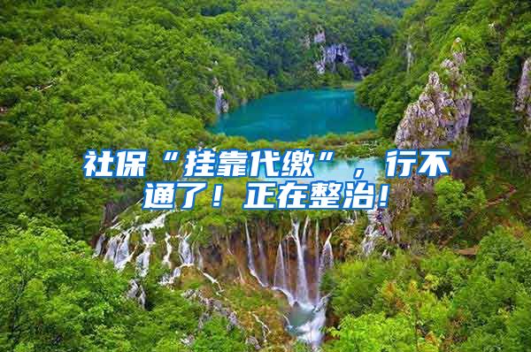 社保“挂靠代缴”，行不通了！正在整治！