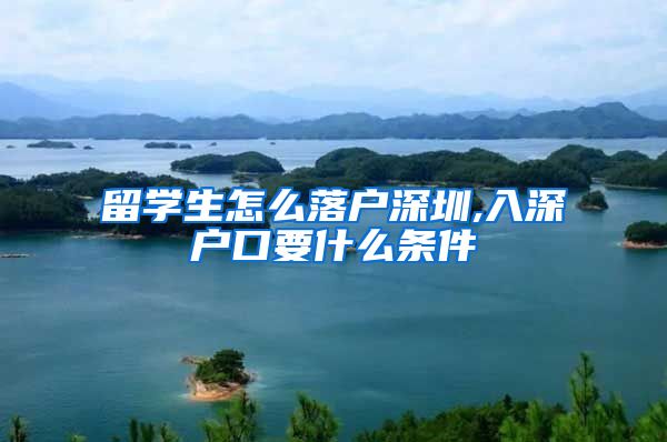 留学生怎么落户深圳,入深户口要什么条件