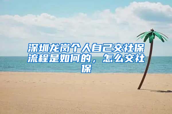 深圳龙岗个人自己交社保流程是如何的，怎么交社保