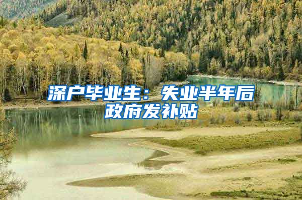 深户毕业生：失业半年后政府发补贴