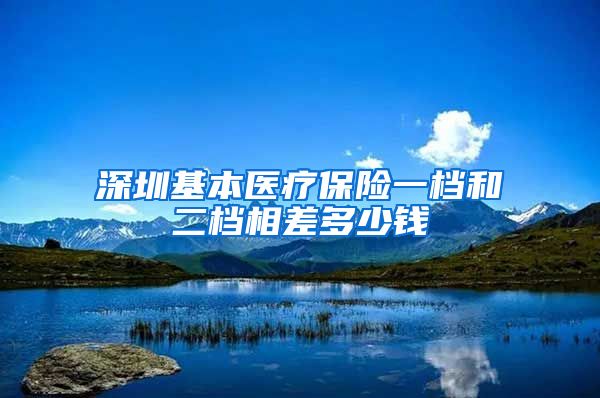 深圳基本医疗保险一档和二档相差多少钱