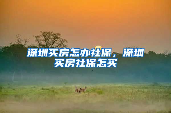 深圳买房怎办社保，深圳买房社保怎买