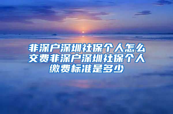 非深户深圳社保个人怎么交费非深户深圳社保个人缴费标准是多少