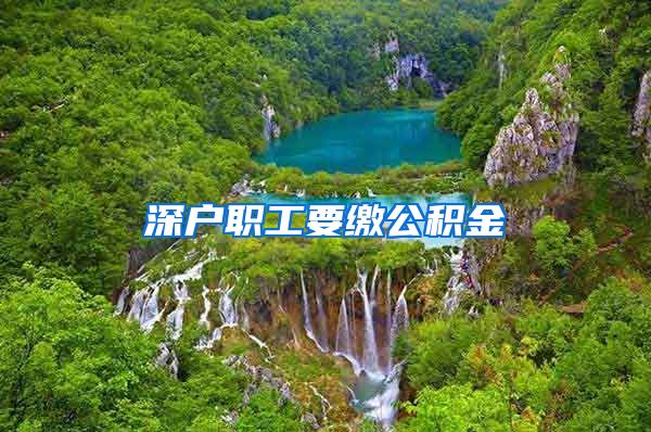 深户职工要缴公积金