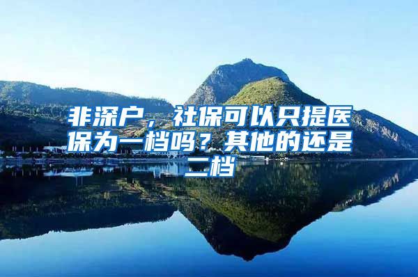 非深户，社保可以只提医保为一档吗？其他的还是二档