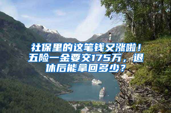 社保里的这笔钱又涨啦！五险一金要交175万，退休后能拿回多少？