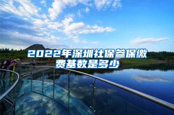 2022年深圳社保参保缴费基数是多少