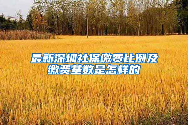 最新深圳社保缴费比例及缴费基数是怎样的