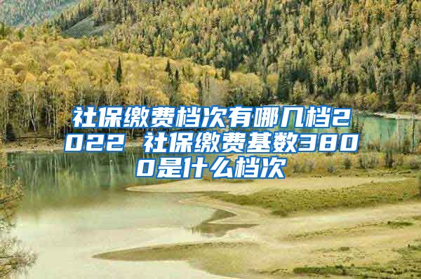 社保缴费档次有哪几档2022 社保缴费基数3800是什么档次