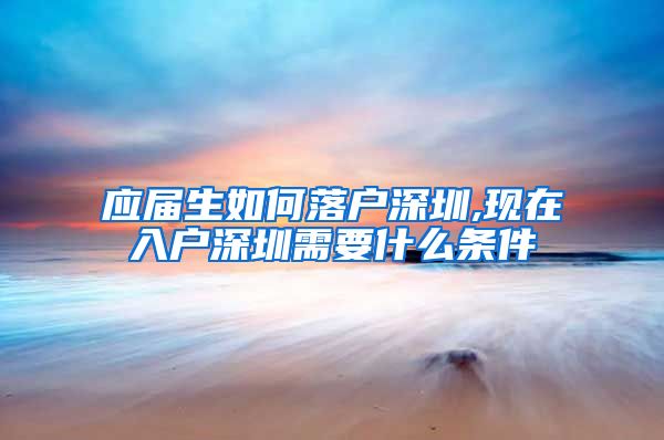 应届生如何落户深圳,现在入户深圳需要什么条件