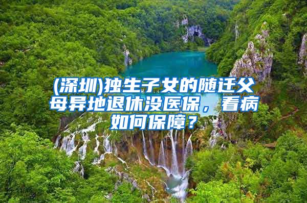 (深圳)独生子女的随迁父母异地退休没医保，看病如何保障？